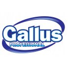 Gallus Color mosópor 58 mosás (3,2kg)