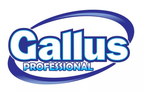 Gallus Mosogatógép öblítő (850ml)